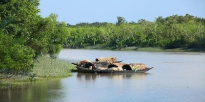 Sundarban trip